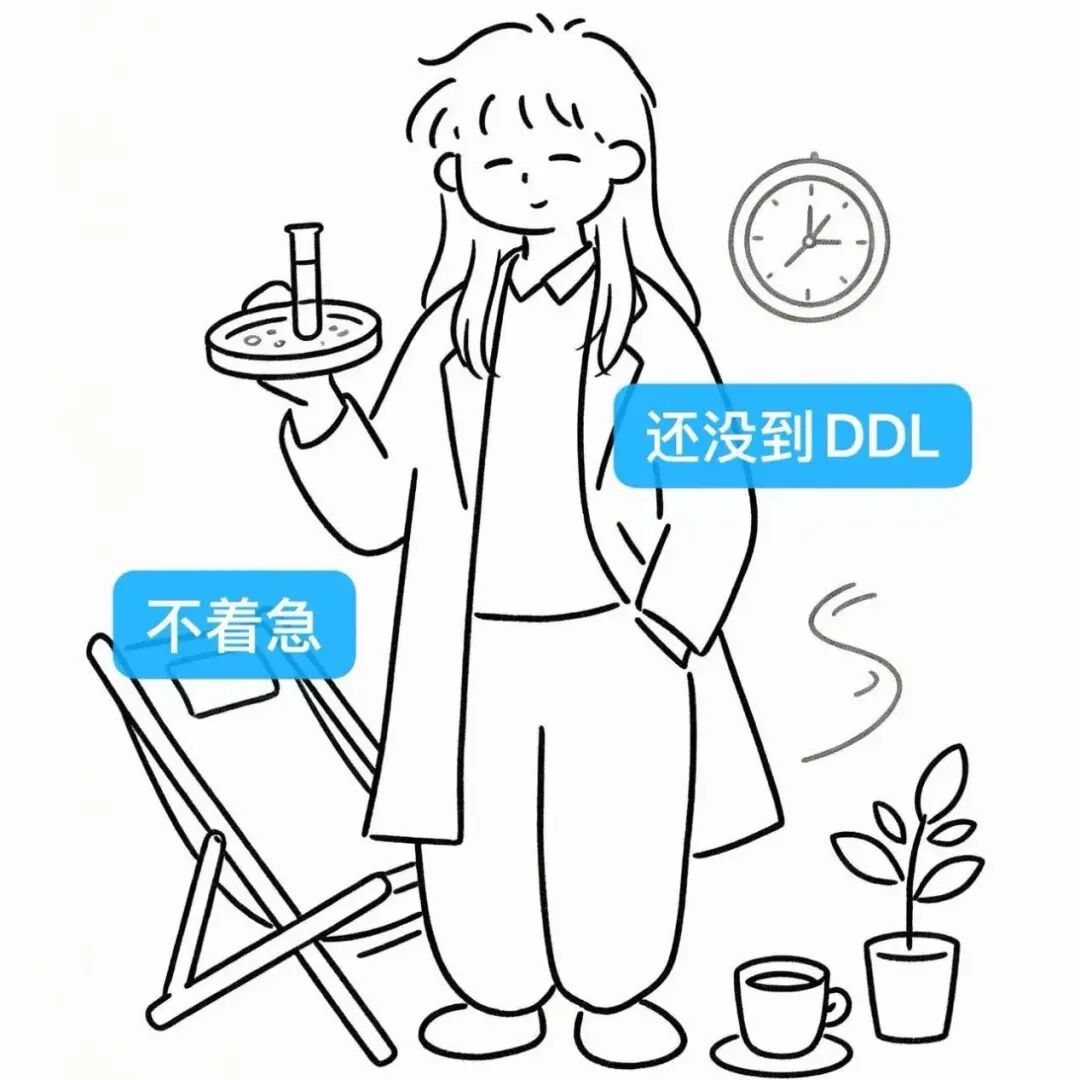 新闻图片7