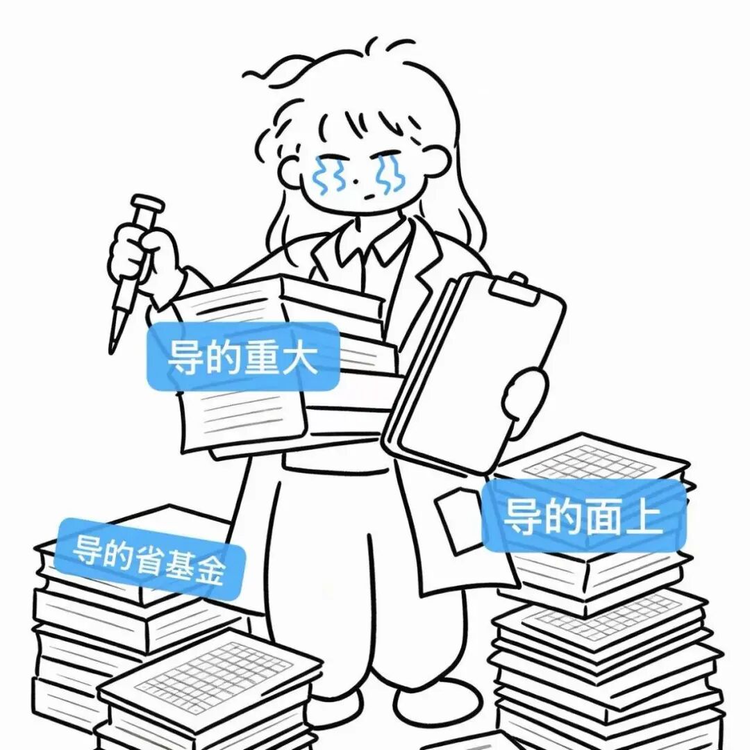 新闻图片6