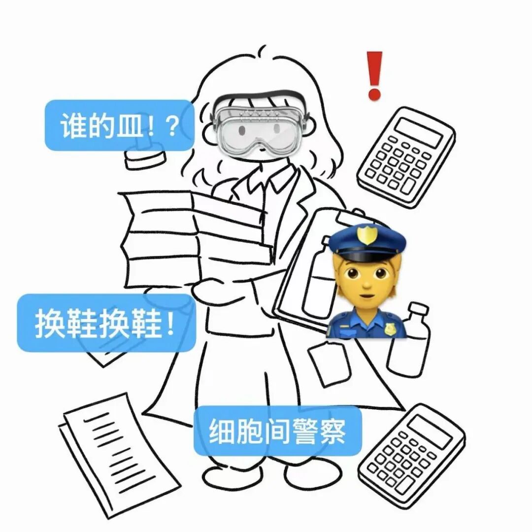 新闻图片4
