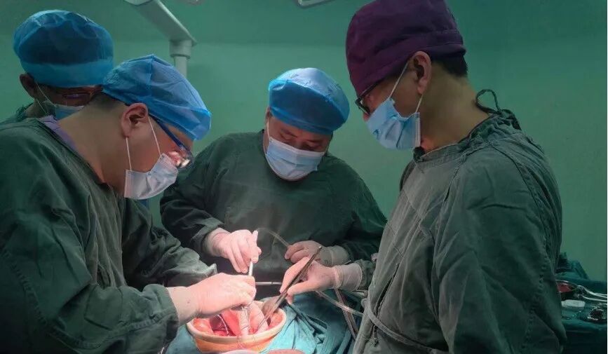 专科实力聚焦:我院腹膜后肿瘤诊疗中心完成巨大腹膜后肿瘤多脏器联合切除术