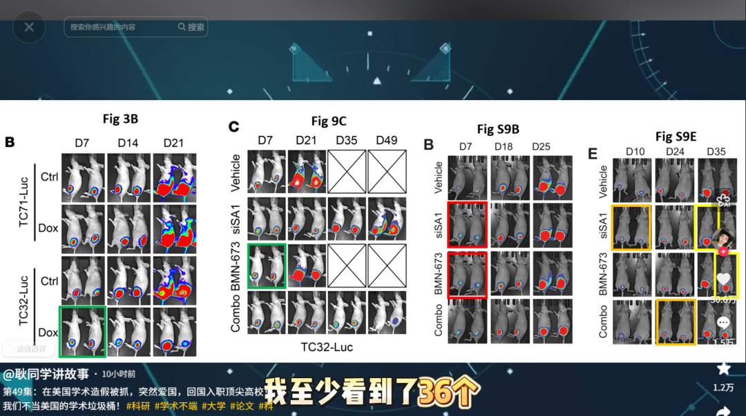 新闻图片4