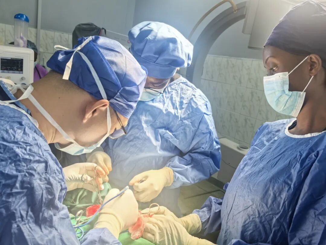 跨越万里践初心 仁术援非载誉归——河科大二附院两名援赞医疗队员圆满完成任务凯旋