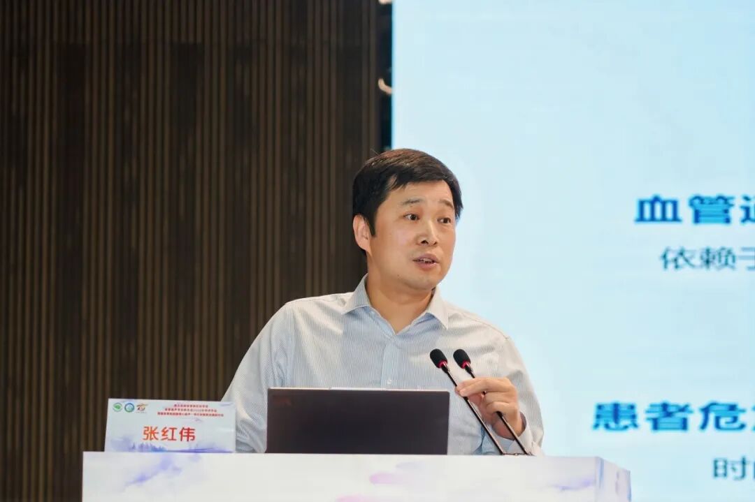 聚焦脑颈心融合诊疗 共绘血管超声发展新篇