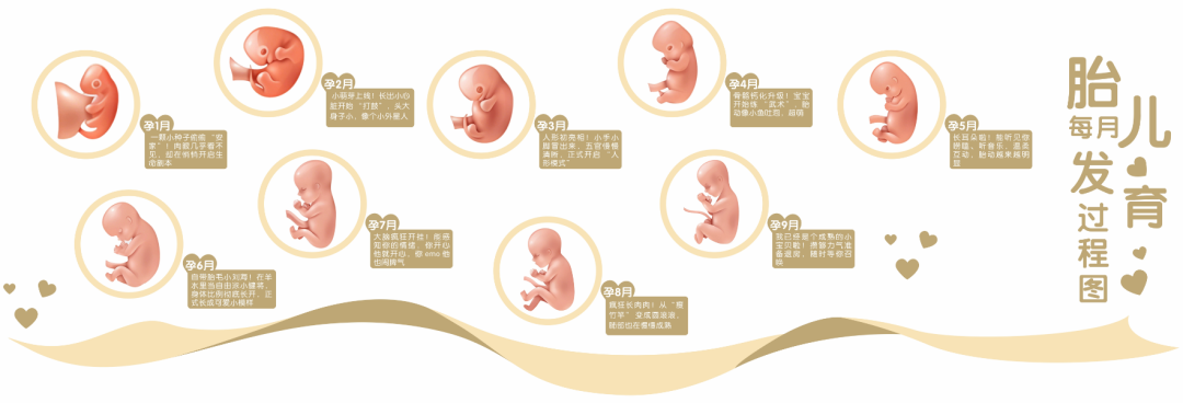 暖心升级!深圳市妇幼保健院红荔院区产科门诊「科普花园」等您来打卡!