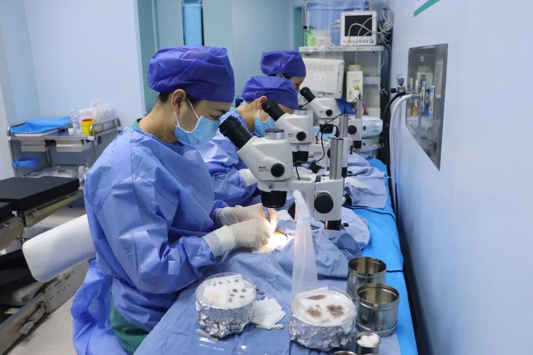 广西首台丨广西医科大学第一附属医院成功完成区内首台机器人辅助毛发移植手术