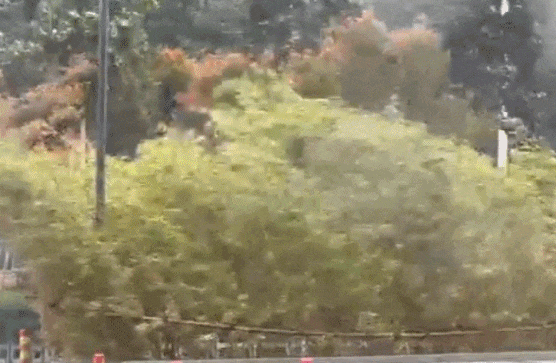 台风预警|超强台风“巴威”逼近武汉!安全第一记心中!