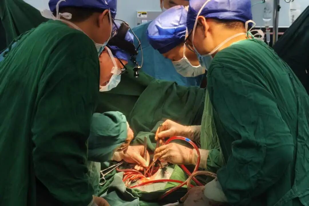 巧补心脏「异常盗血通道」 ——阜阳市妇女儿童医院朱正艳团队成功完成罕见冠脉肺动脉瘘合并房间隔缺损复合心脏矫治手术
