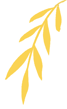 关爱“一老一小”馨服务｜二附院骨科病房温情守护患者康复路