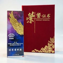 西北妇女儿童医院荣获第二届“燕尾帽杯-互联网+护理服务”优秀案例奖