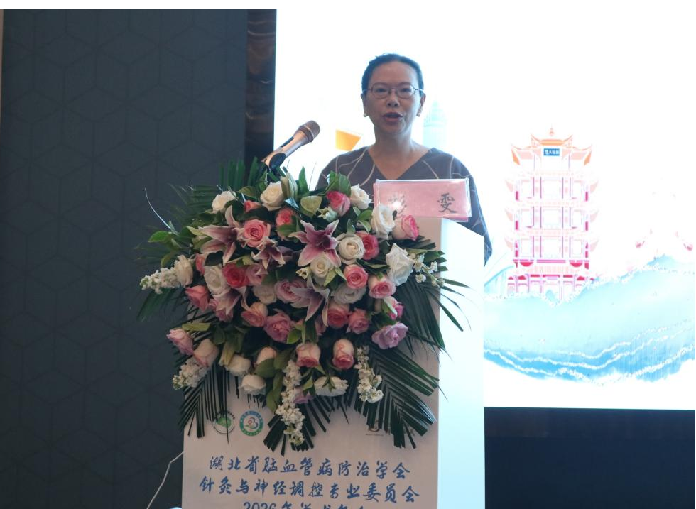 智赋慢病管理 共话健康新局 ——湖北省第三人民医院”第十一届“相聚中山·共话健康”学术会议成功举办