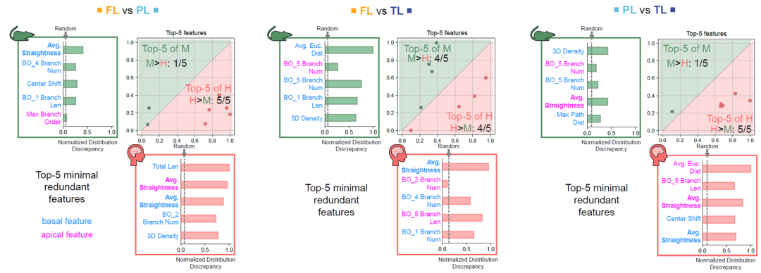 新闻图片6