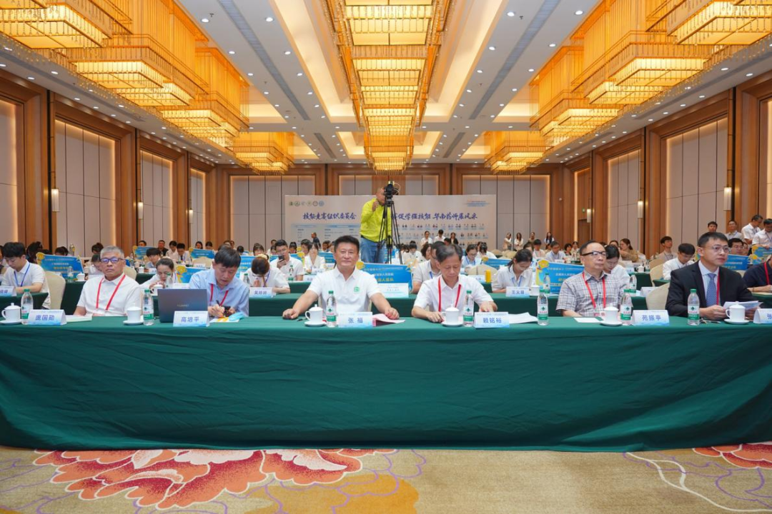 广西医科大学第一附属医院成功承办医院药学高质量发展交流会暨2026年处方审核与静脉用药调配技能竞赛(华南区域赛)