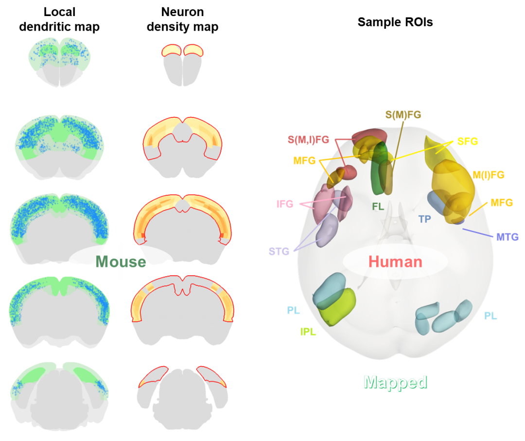 新闻图片4