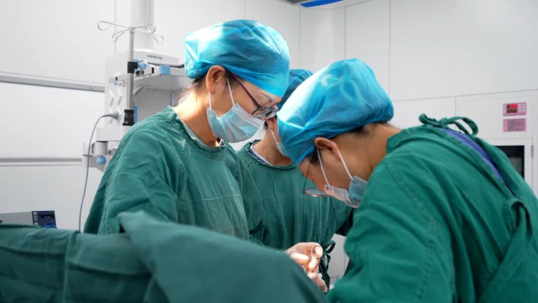高龄卧床患者遭遇妇科病变 国文医院微创手术化解诊疗难题