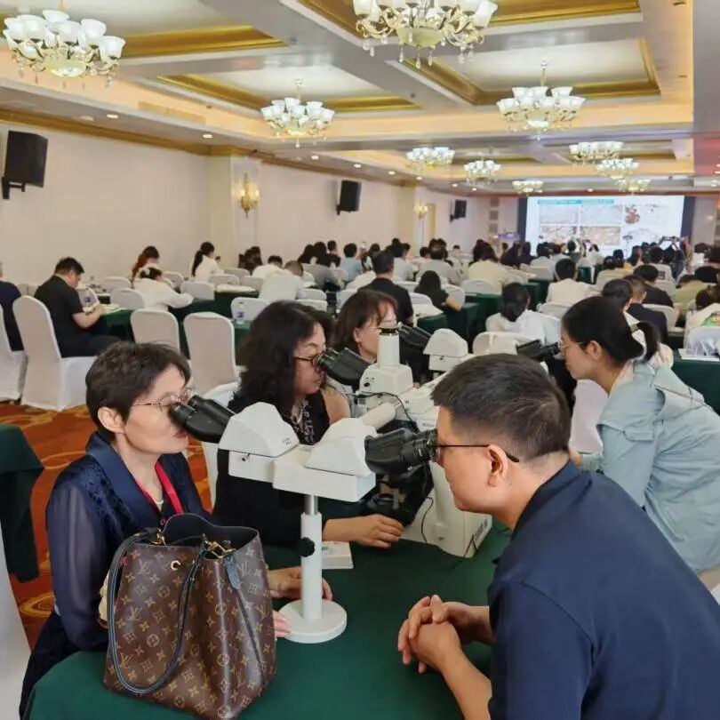 聚焦病理前沿  赋能区域诊疗——2026年苏北地区病理读片会暨宿迁市病理学学术会议圆满落幕