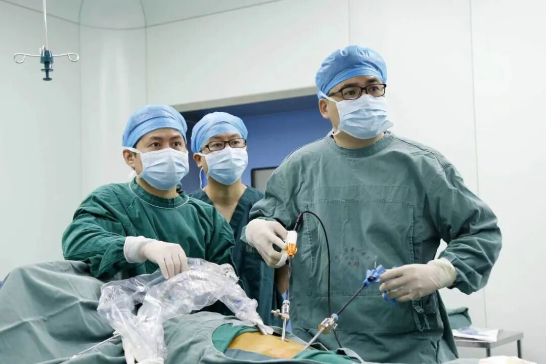 从“323”攻坚到全域健康守护 湖北省第三人民医院以公益底色绘就为民长卷