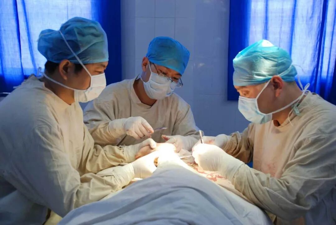 从“323”攻坚到全域健康守护 湖北省第三人民医院以公益底色绘就为民长卷