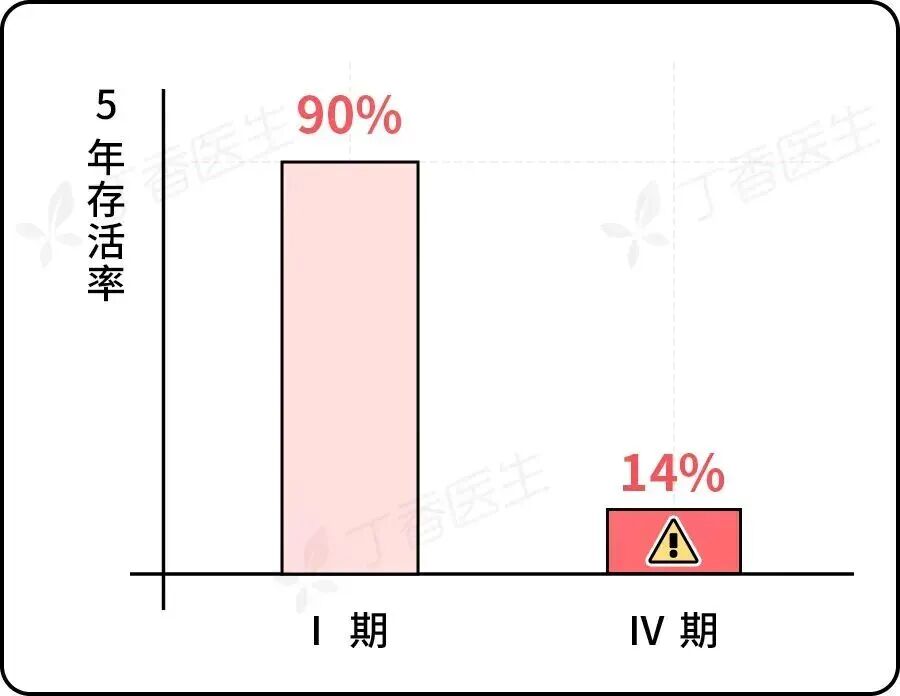 东野圭吾写了一辈子悬疑,这次的「凶手」却是「沉默的肠道」→