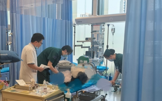生死一线|抢救手记:晨光里,一场正在进行的生命争夺战