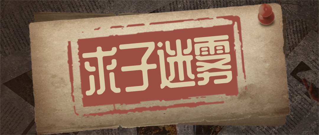 求子迷雾:精英丈夫被迫离异,二婚依旧求子无门