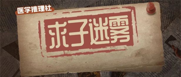 求子迷雾：精英丈夫被迫离异，二婚依旧求子无门