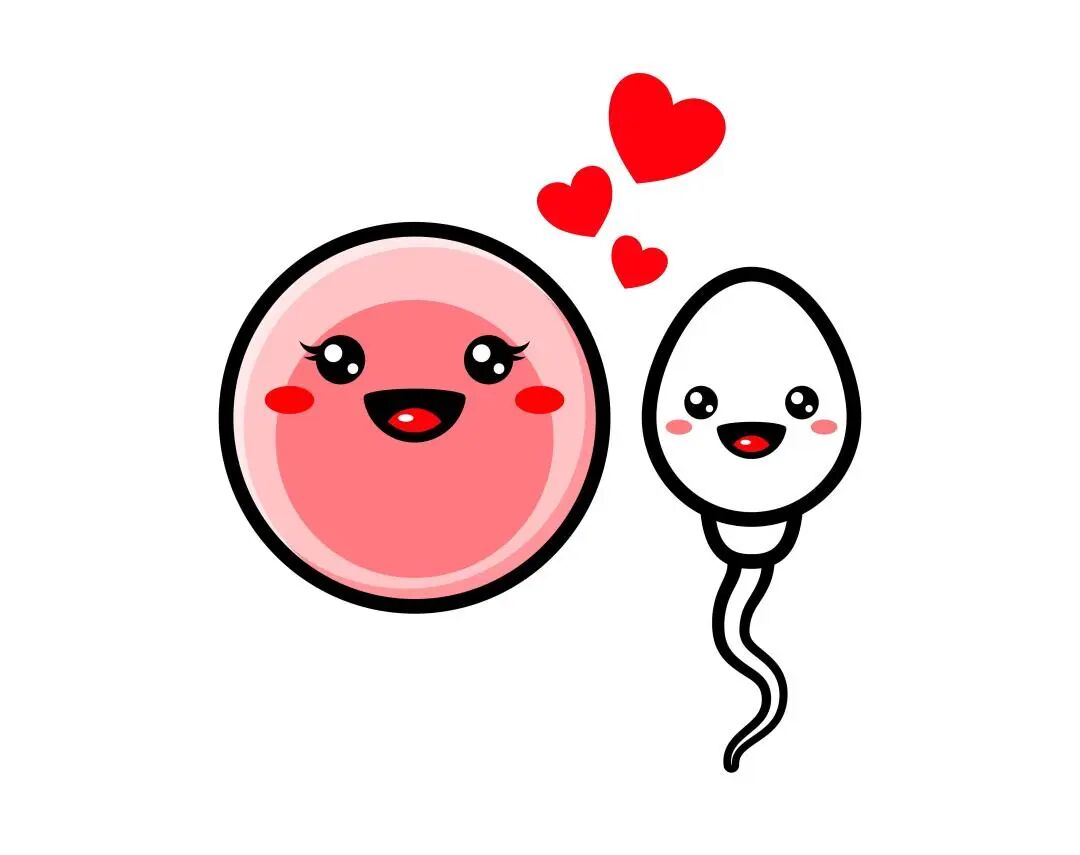 求子迷雾:精英丈夫被迫离异,二婚依旧求子无门