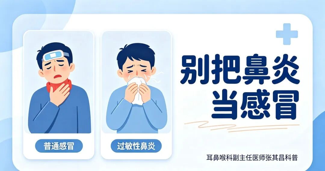 【健康小课堂】别把鼻炎当感冒！找准过敏原，科学应对过敏性鼻炎