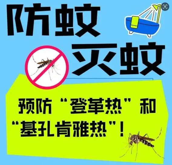 科学预防,远离“两热”——登革热和基孔肯雅热防控知识宣传