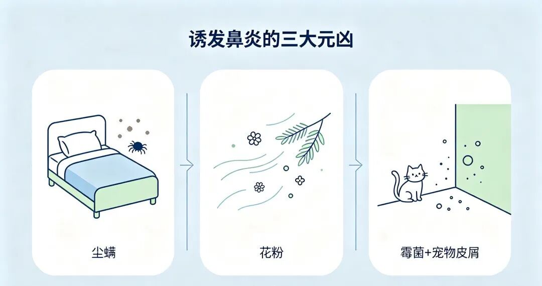 【健康小课堂】别把鼻炎当感冒！找准过敏原，科学应对过敏性鼻炎