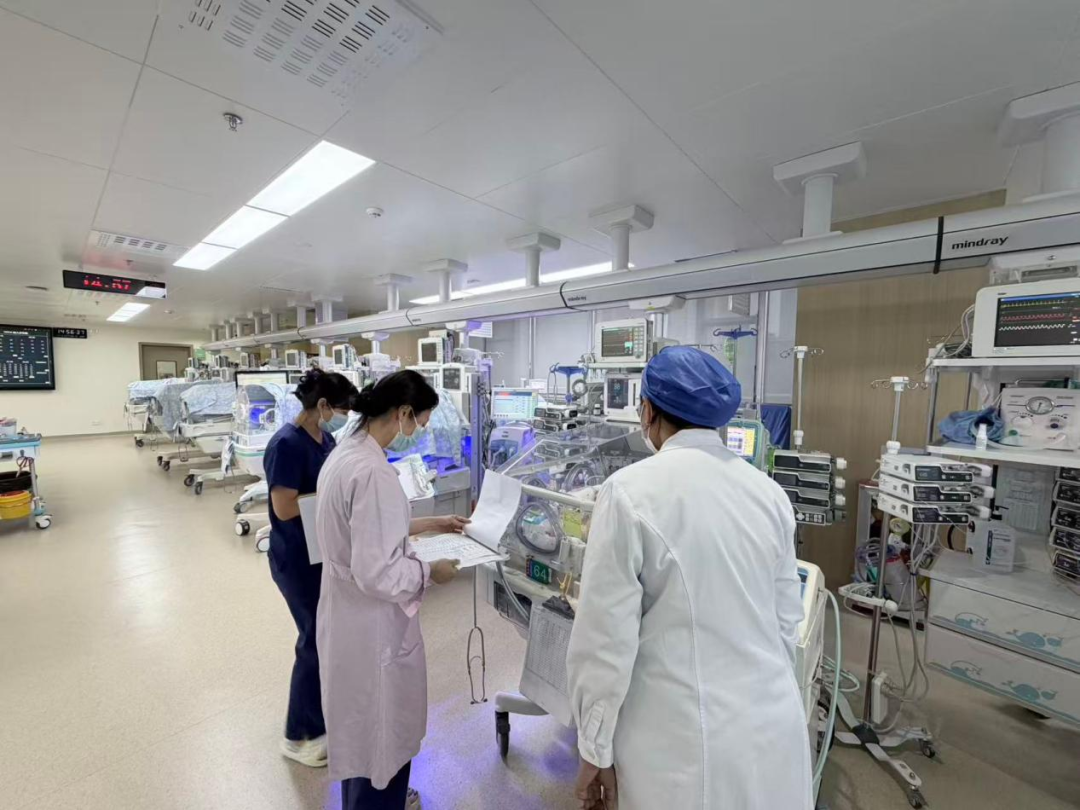 东盟妇幼合作启新篇:印尼新生儿科医生到深圳市妇幼保健院进修学习