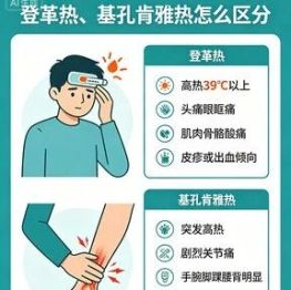 科学预防，远离“两热”——登革热和基孔肯雅热防控知识宣传