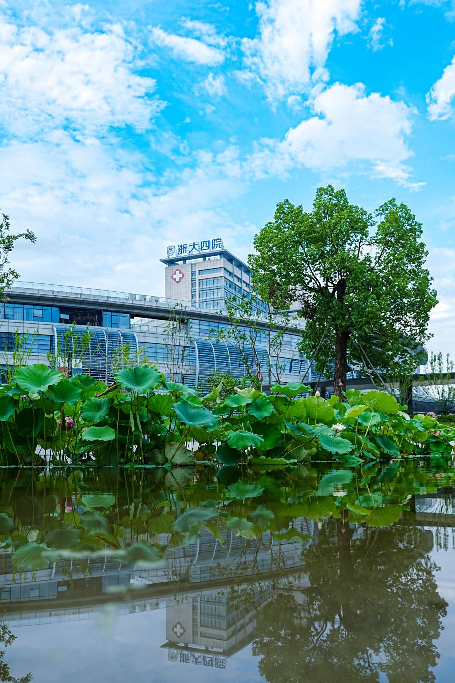 美翻了!地铁直达+236个新车位+樱花公园…浙大四院的夏天,太太太治愈了!🥰