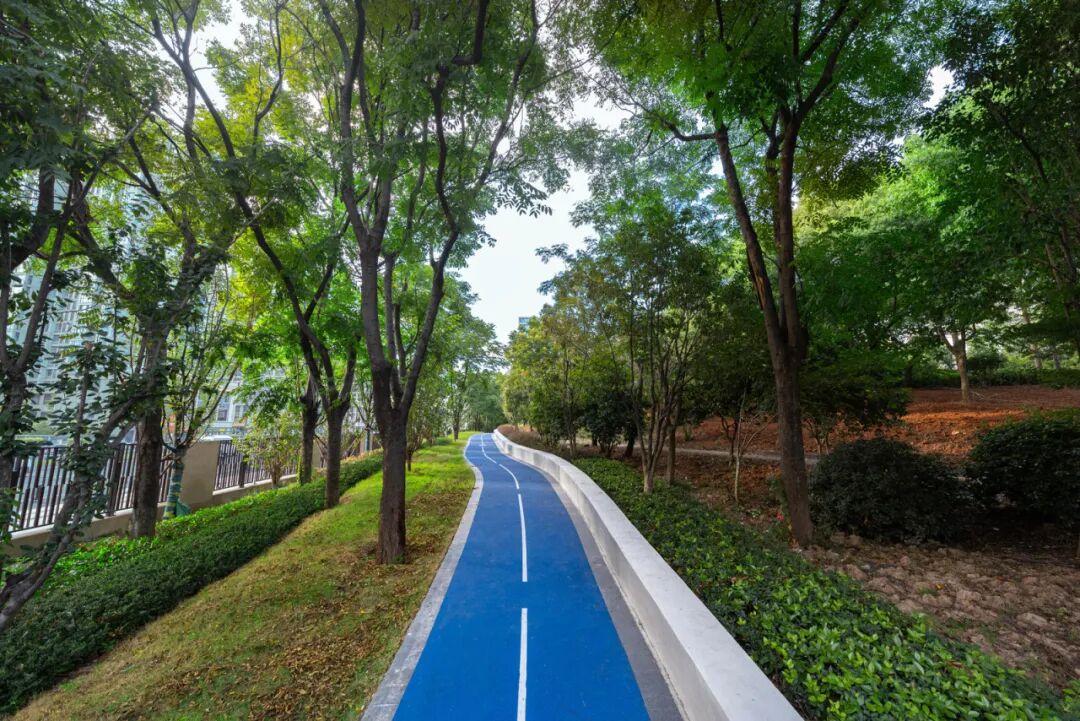 美翻了!地铁直达+236个新车位+樱花公园…浙大四院的夏天,太太太治愈了!🥰