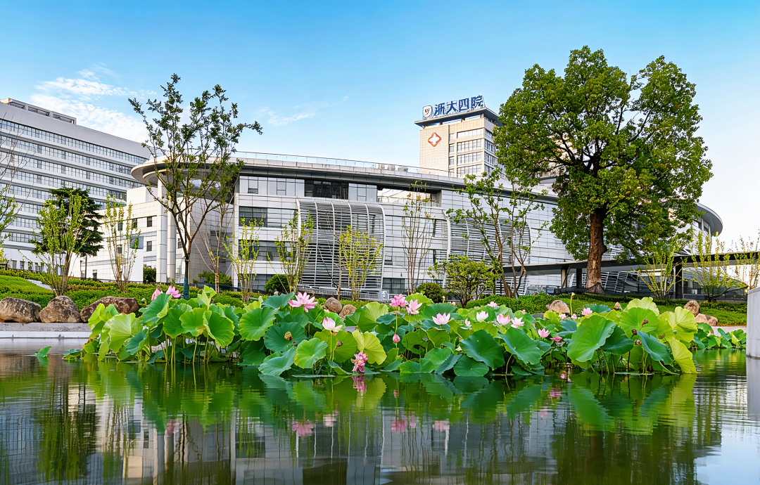 美翻了!地铁直达+236个新车位+樱花公园…浙大四院的夏天,太太太治愈了!🥰