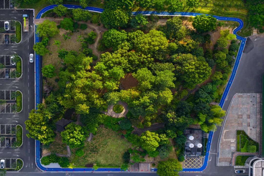 美翻了!地铁直达+236个新车位+樱花公园…浙大四院的夏天,太太太治愈了!🥰