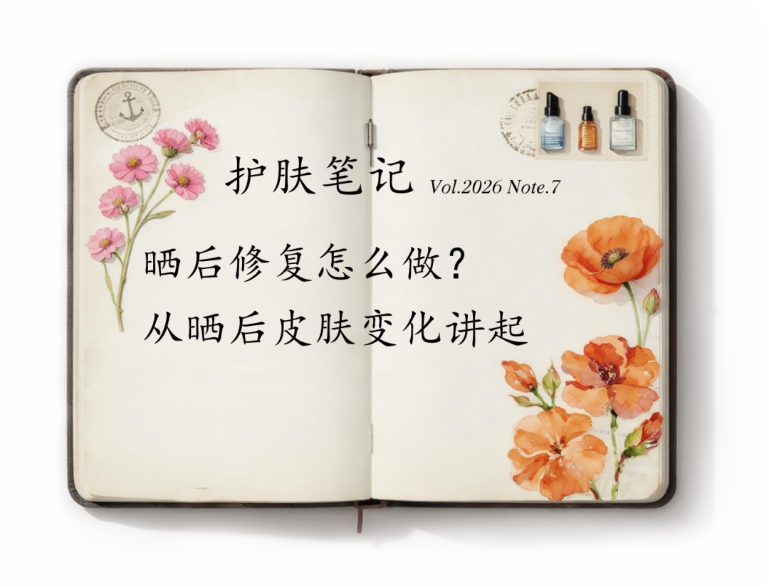 【皮肤科普·护肤笔记 7】发红发烫还脱皮，晒后修复怎么做？从晒后皮肤变化讲起