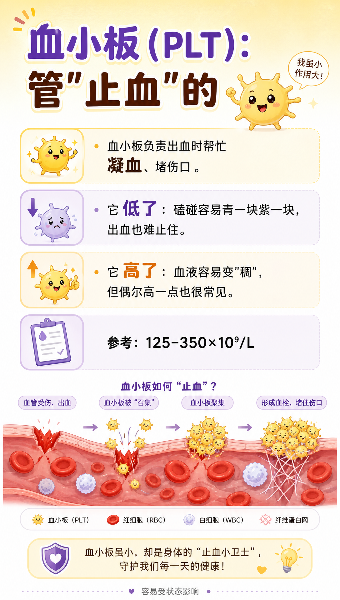 体检单上箭头最多的那页，其实最好懂