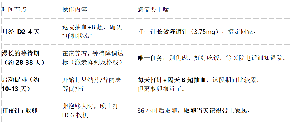 她们在7月集体“开奖”，揭秘试管婴儿界的“优等生”方案！