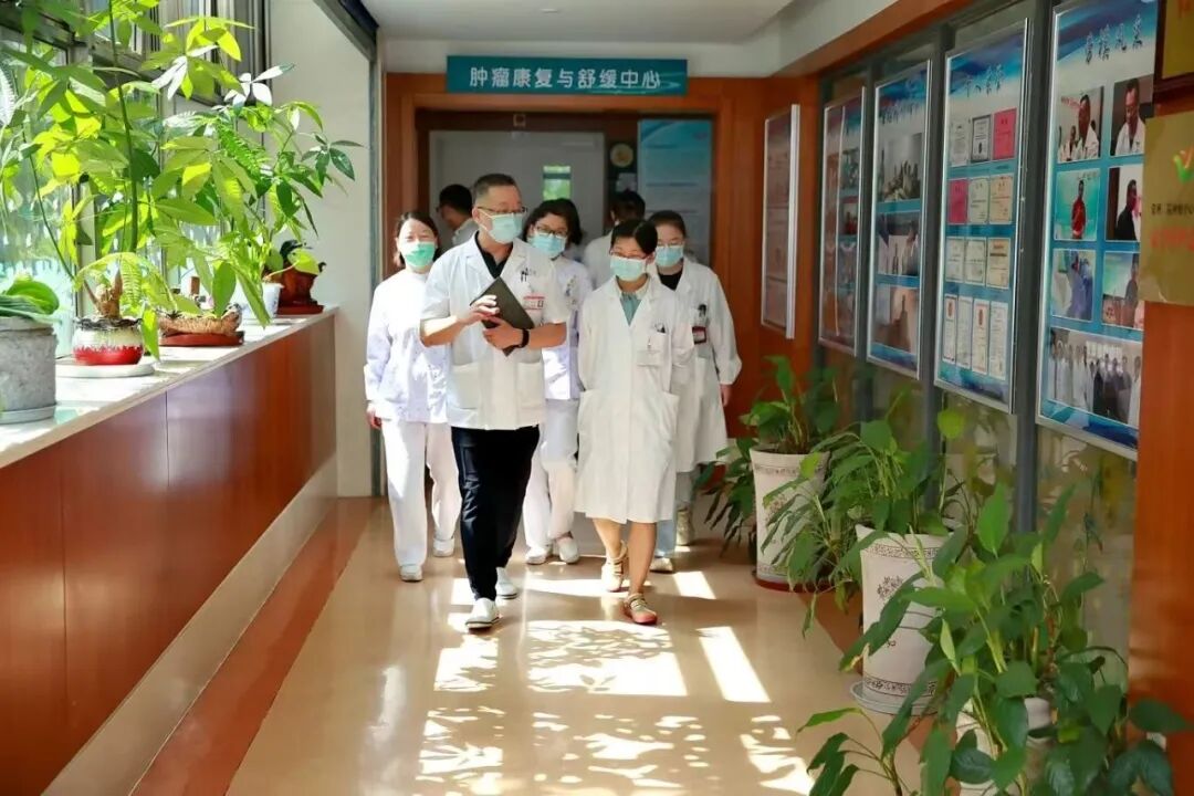 七年怪痛一朝解,肠菌移植为癌后顽固性症状开辟新路径