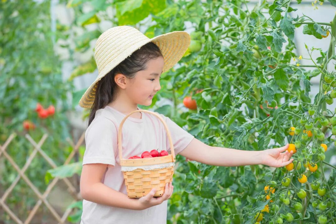 孩子近视年年涨？OK镜、离焦镜、阿托品，到底哪个才适合我家娃？