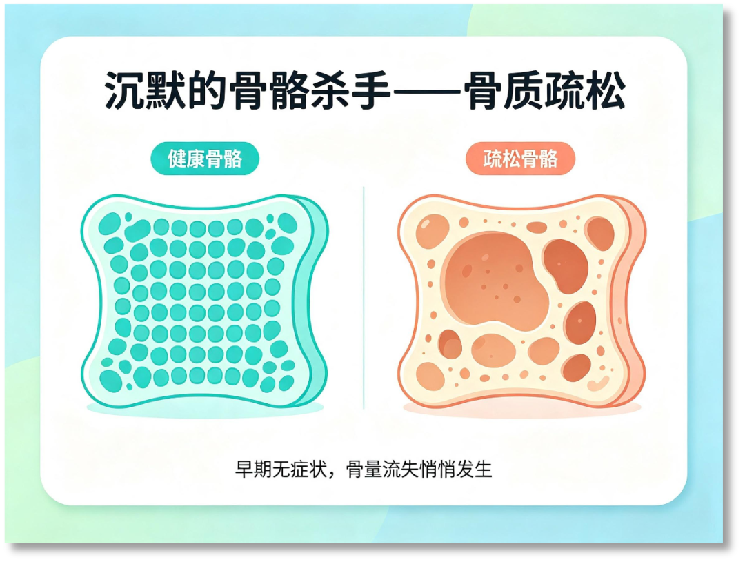 别让骨骼悄悄“变脆”！科学预防骨质疏松，从日常做起丨内科系统常见慢病防治护理科普专栏‌㉕