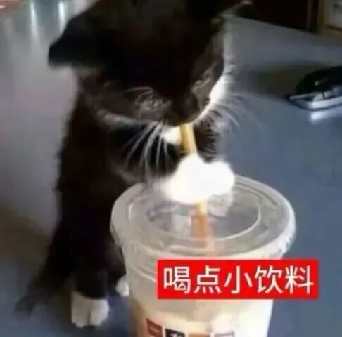 “0糖”真的没负担?小心肝在悄悄囤脂肪