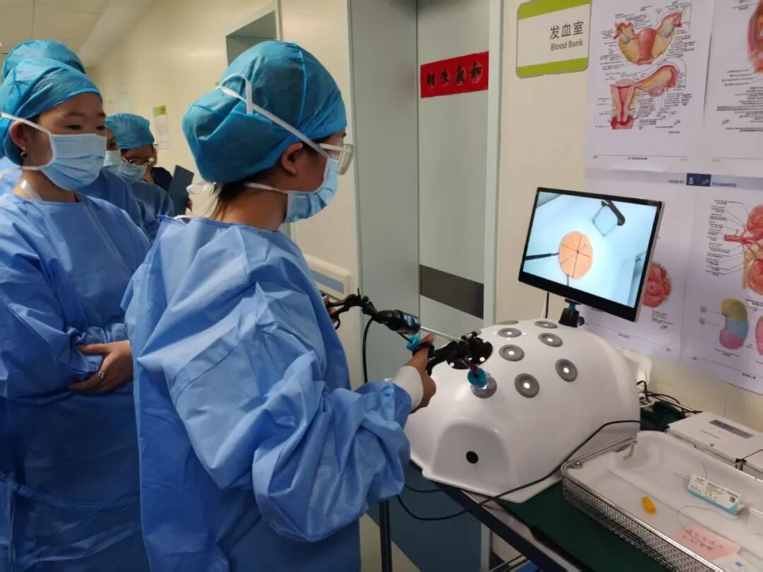 “硬核”医学探秘，从红树林到薄扶林！第五届粤港澳医学体验营收官