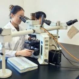 燕达医院病理科：“多囊” 改名了！别再盲目恐慌，一文看懂 PMOS，科学应对