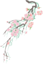 【医路拾光】医者故事选刊（二） | 从何阿姨到何婆婆