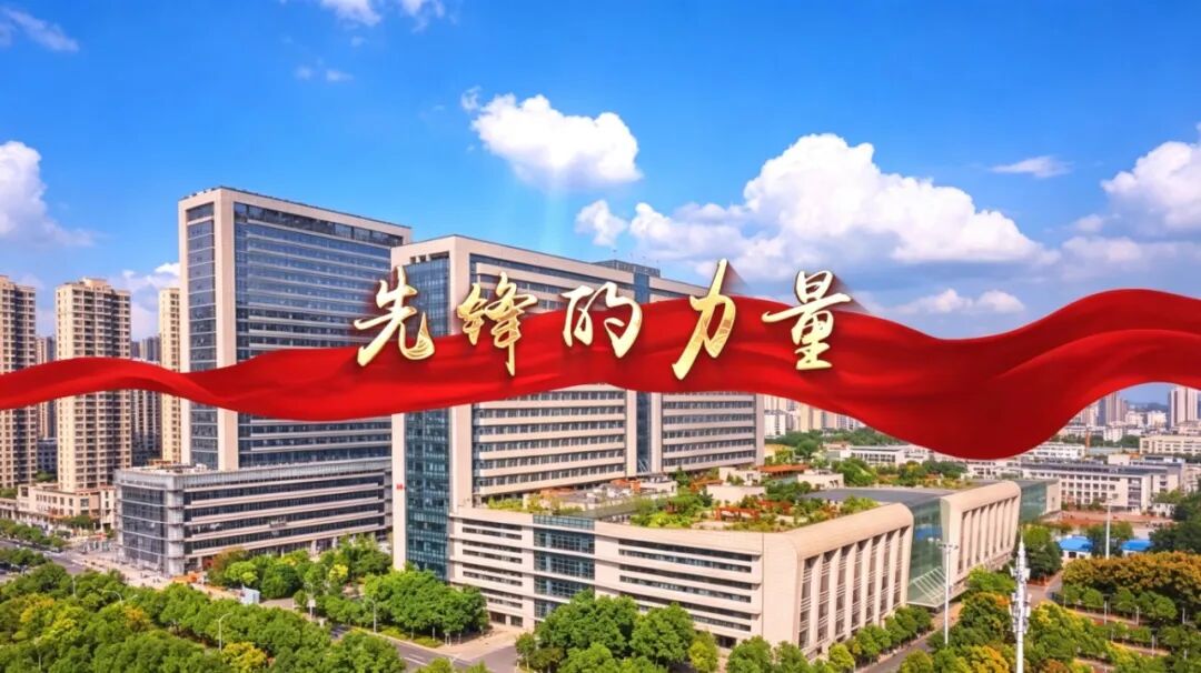 先锋力量|荆门市市直机关优秀党务工作者——彭娜