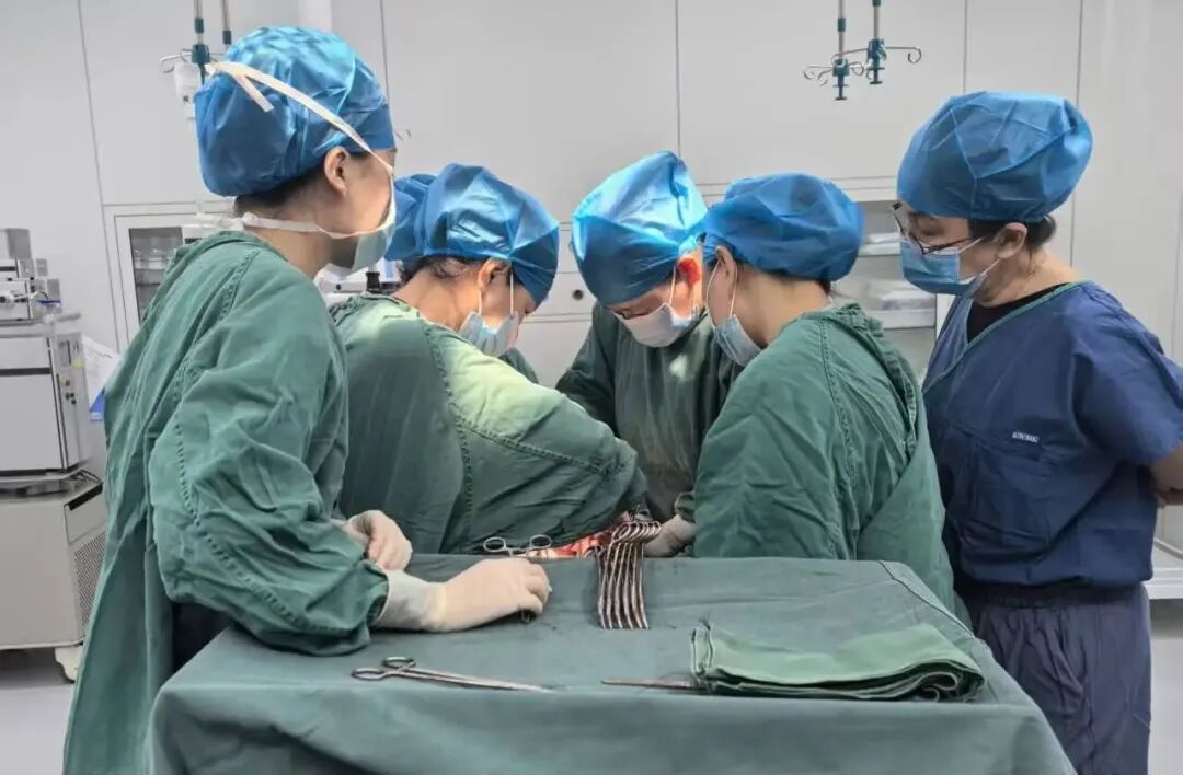 200斤重度肥胖合并巨大宫颈肌瘤致急性尿潴留 国文妇科精准手术解除梗阻危机