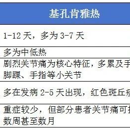 【健康科普】警惕“花蚊子”，远离“两热”——登革热、基孔肯雅热科学防控科普