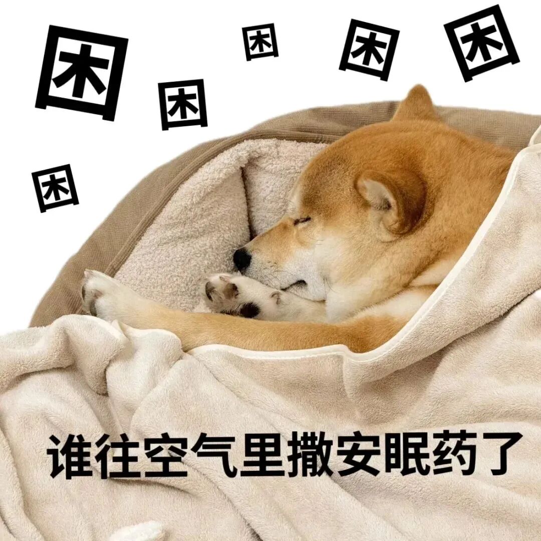 睡够了8小时,为什么还是累?可能是你的睡眠在"假装"!