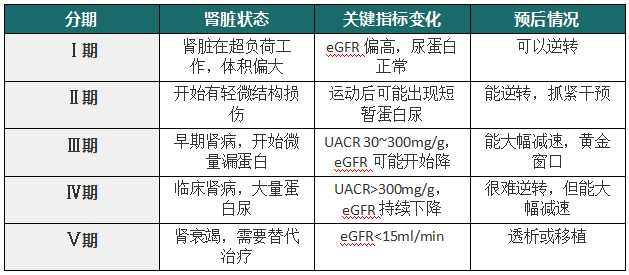 糖友肾友请注意:踩对刹车,拒绝透析
